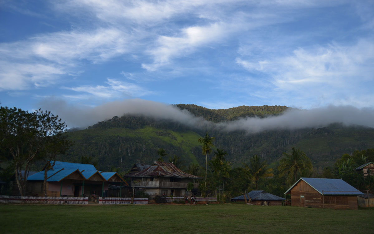 Cerita-cerita Kematian di Lonebasa